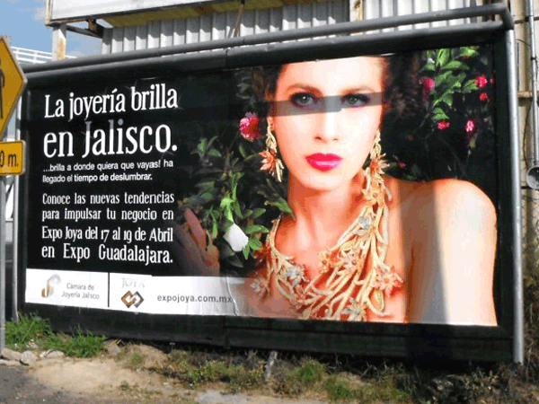 Apa Valla Publicitaria Guadalajara Expo Joya